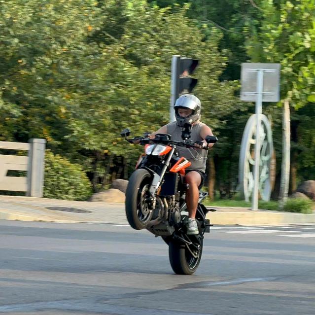 不会翘头的小杨