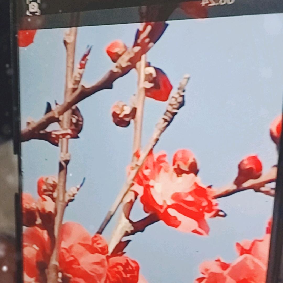 天地开明