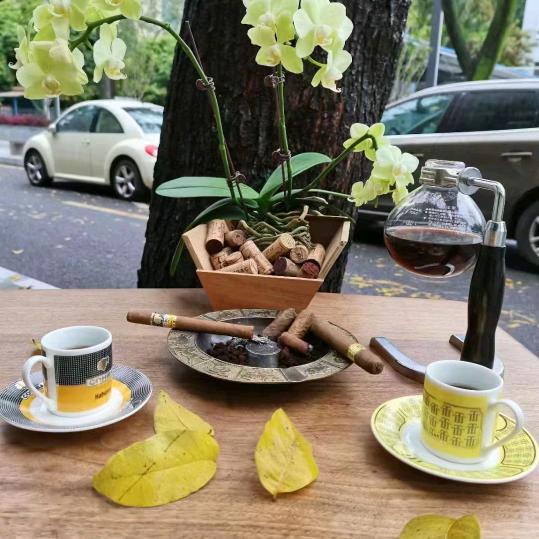 𝒚𝕤. 大蟒蛇 ᴸˡ