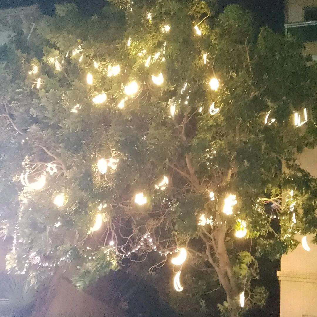 感谢你曾经来过我的世界