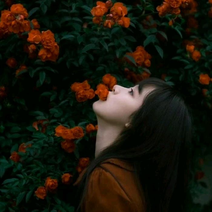 小鱼