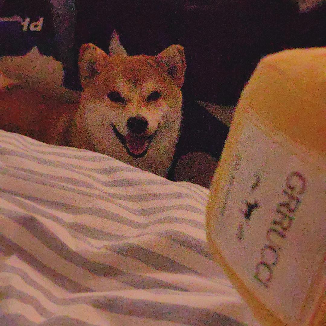 里清
