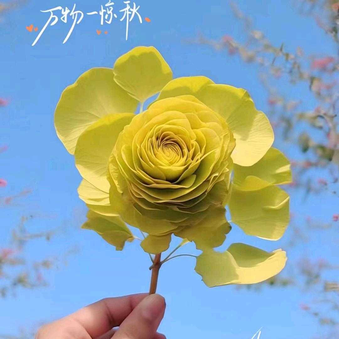 最美的风景