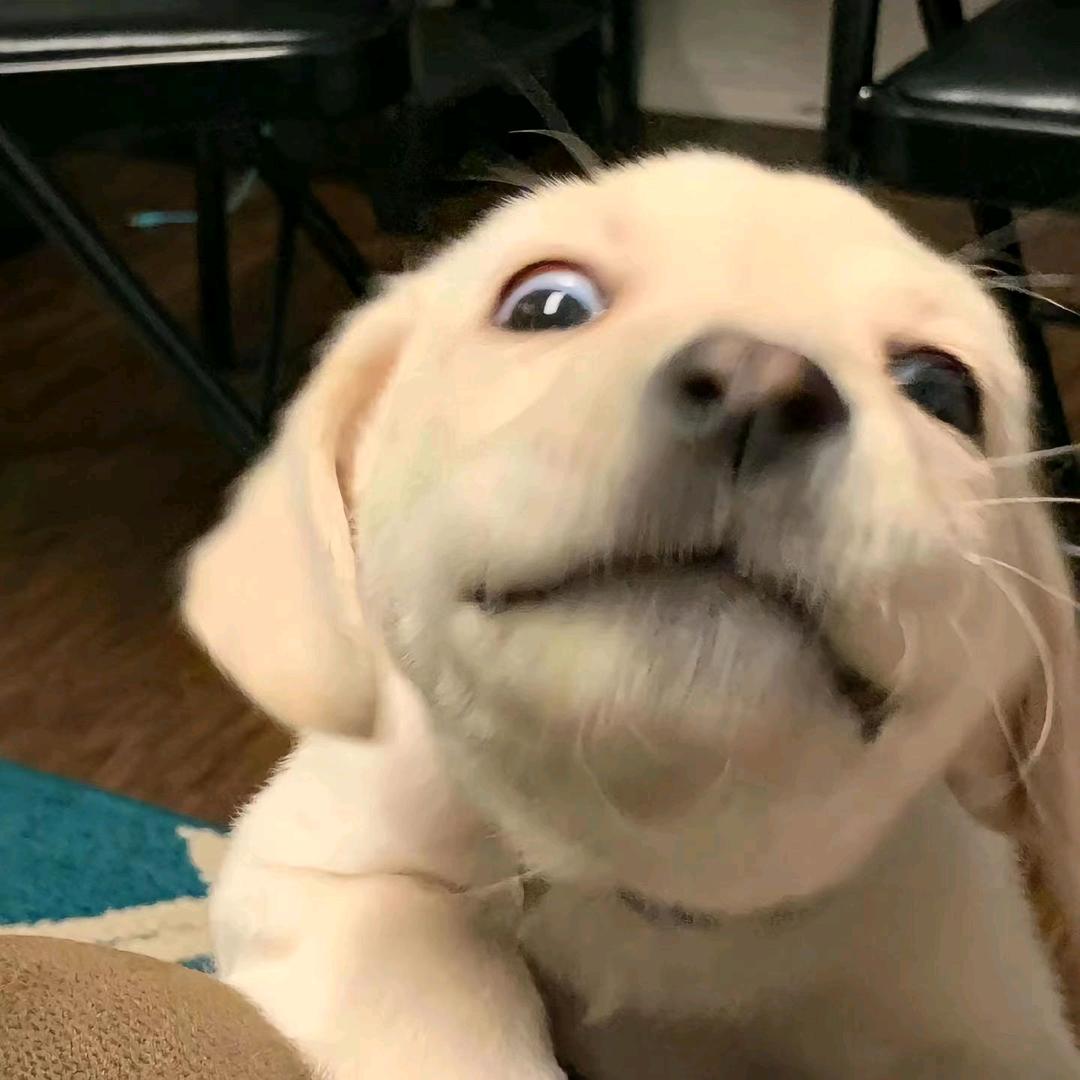 遗憾藏在晚风里