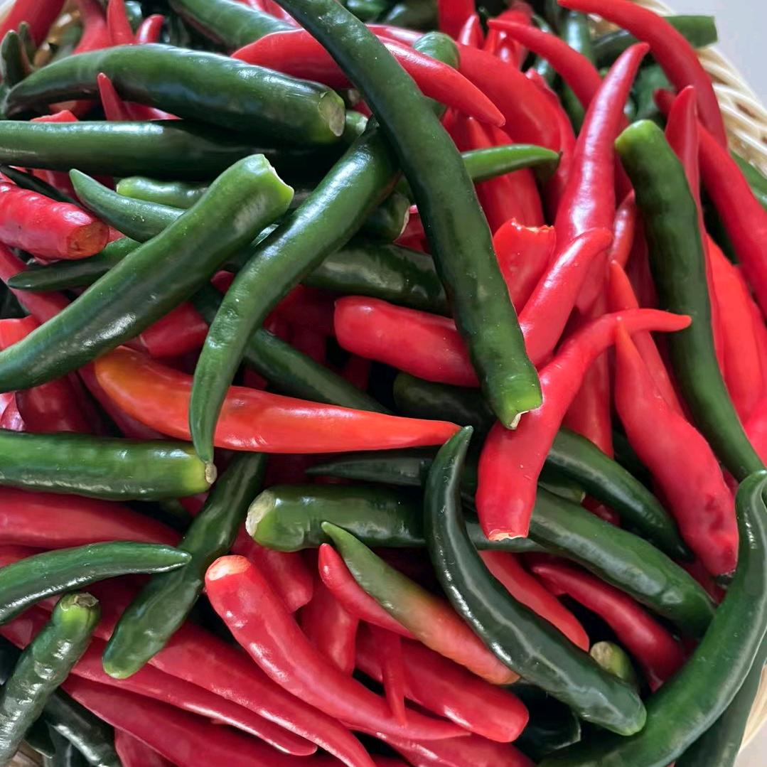 邹城纯手工辣椒酱