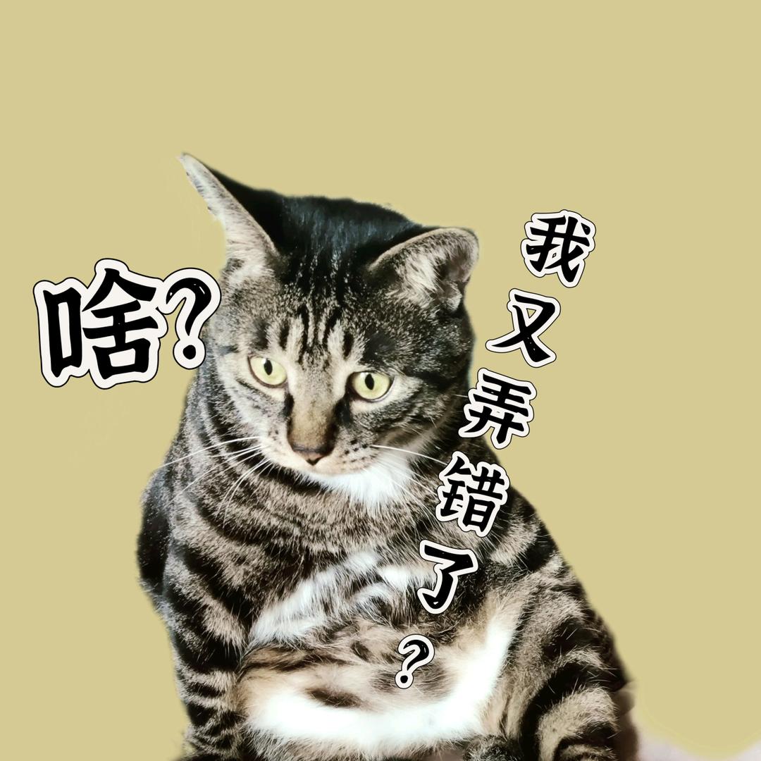 手残张某人