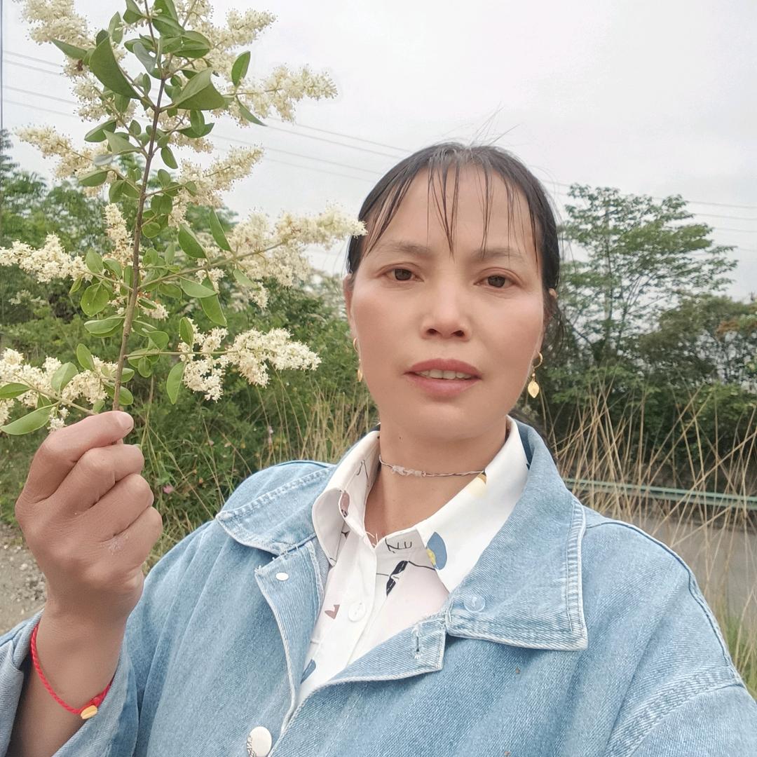 素帖