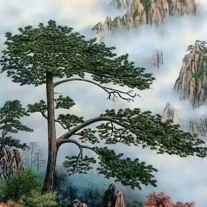 秀儿不傲娇🌸🌸🥳