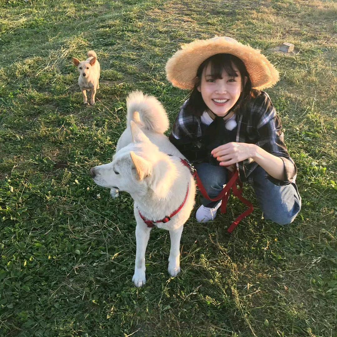 花楸