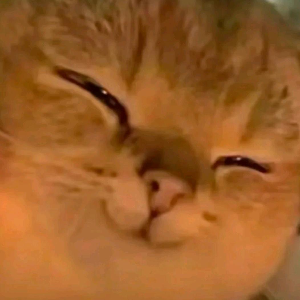 云南犬化儿童获救了吗？