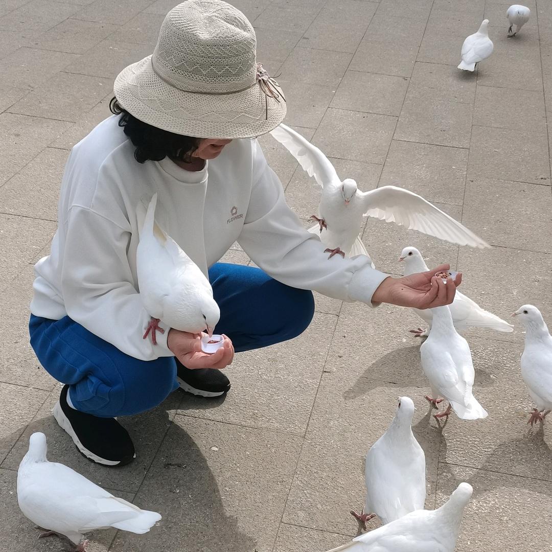 一片云朵