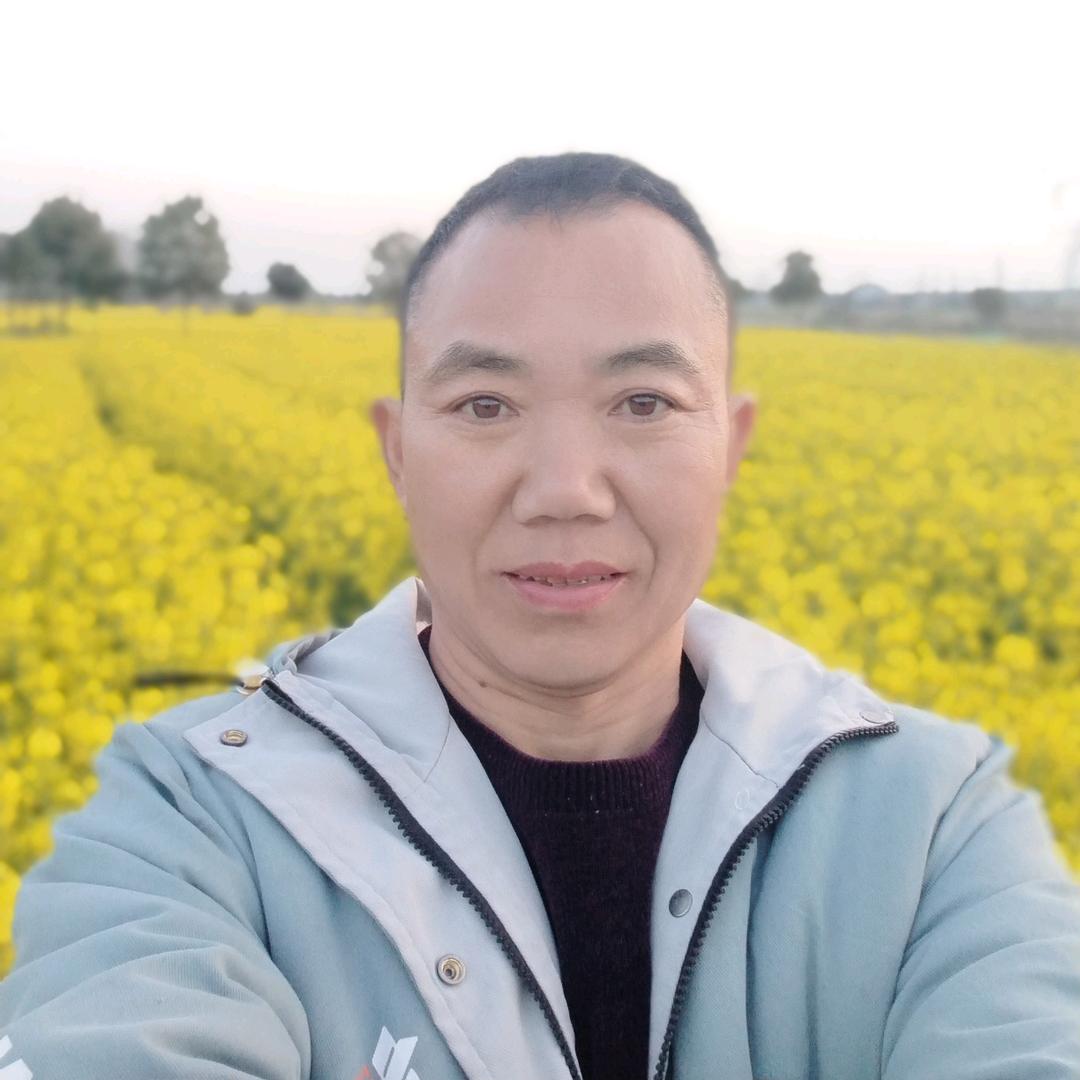 云飘风轻