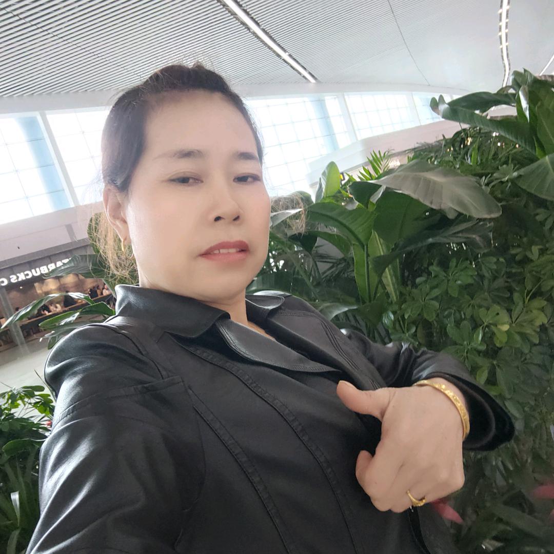 手摘星辰