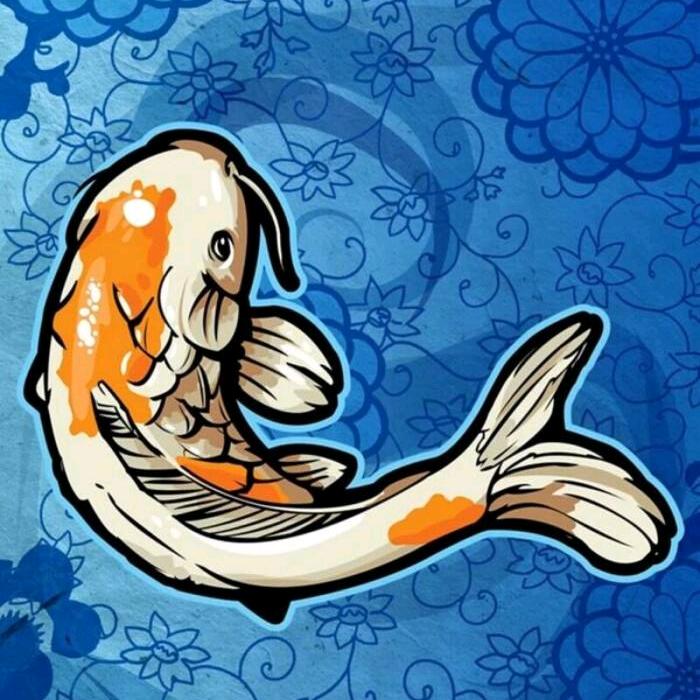 小锦鲤拆卡🐟