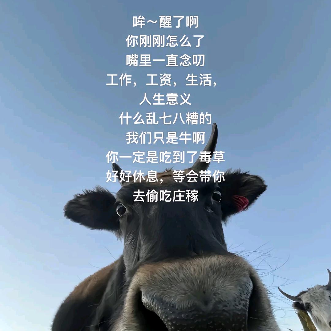 凌晨三点的备忘录