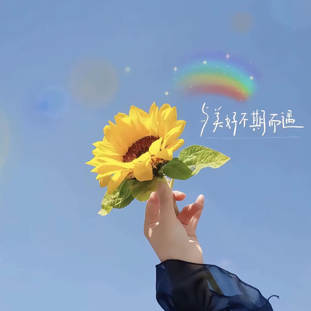 果妈🌻