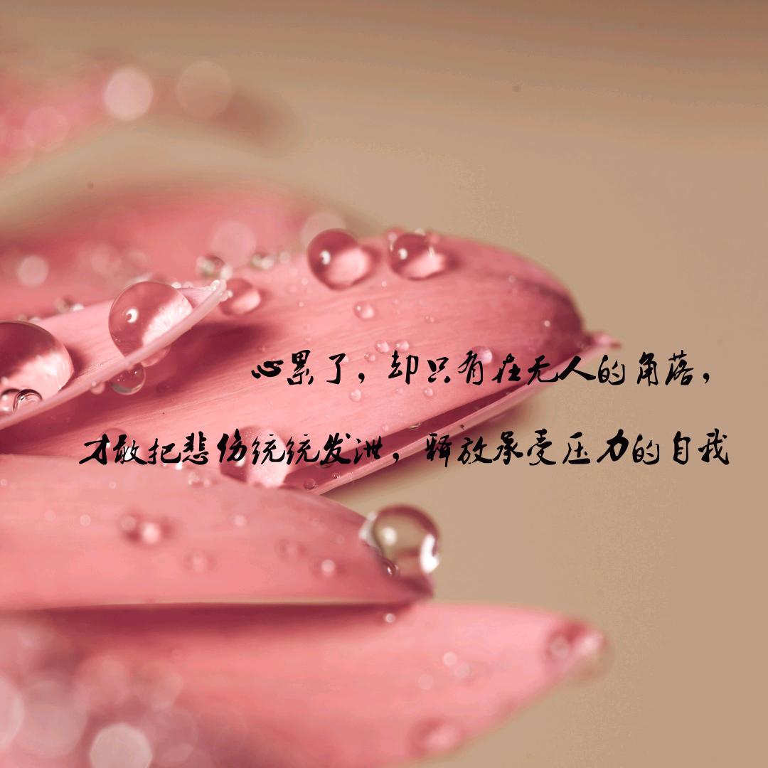 ☞彡苼丗丅♬ ★→_→