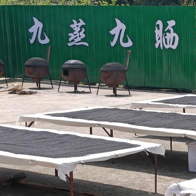 即心缘九蒸九晒