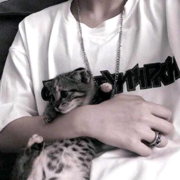 澳大利亚袋鼠一拳打爆地球！