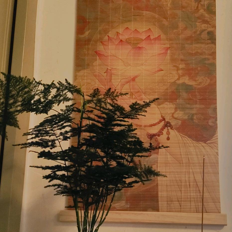 我脸¹点也不圆