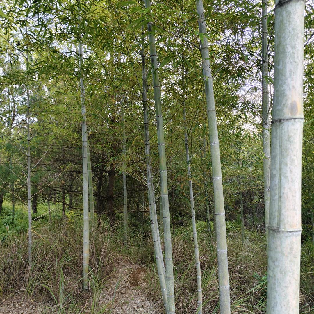 宝贝兄弟姐妹。