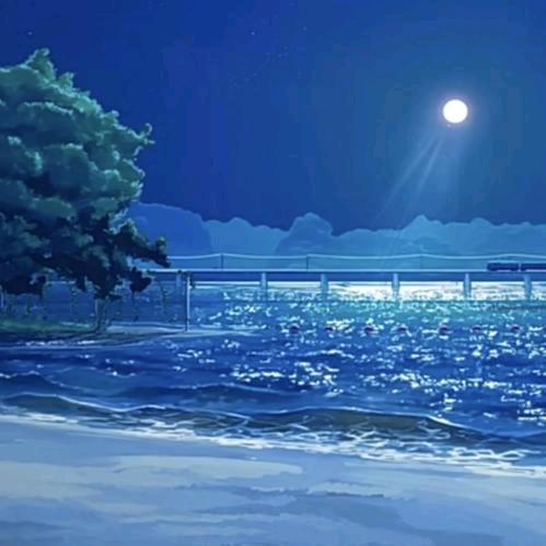 👑🎉皓月当空🌹