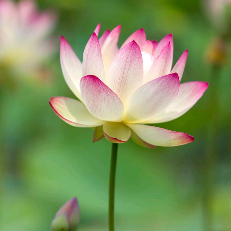 大方县真好吃美食