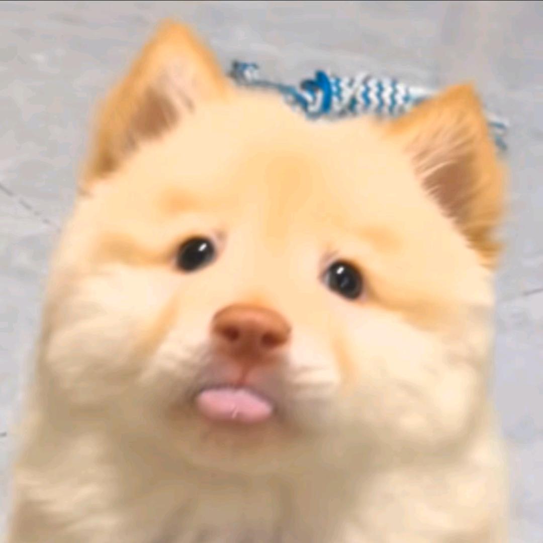 春分穿戴甲