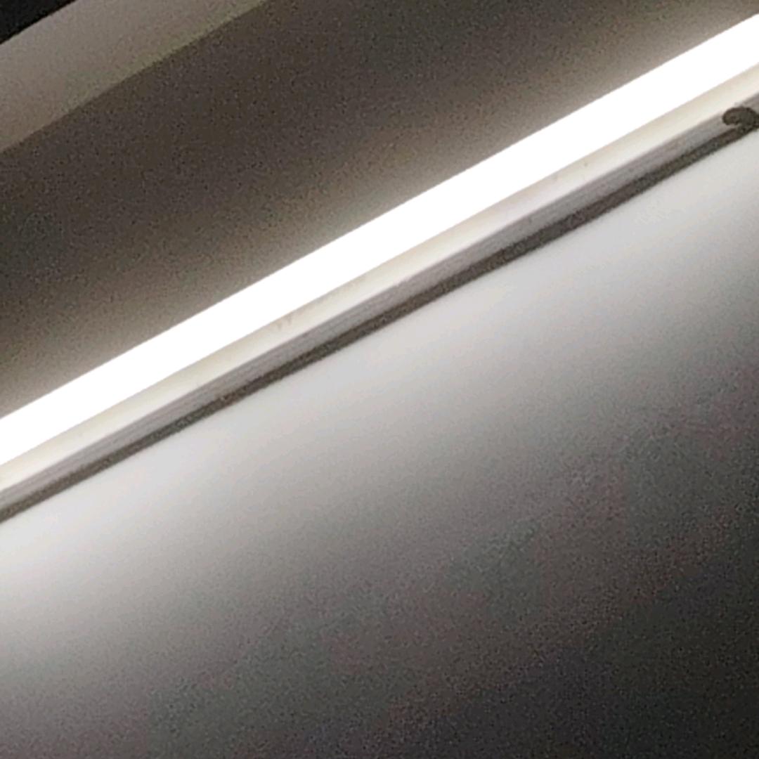 尽量去善待这世间万物