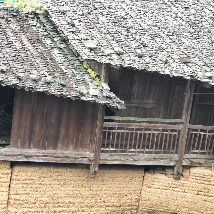 我是谁