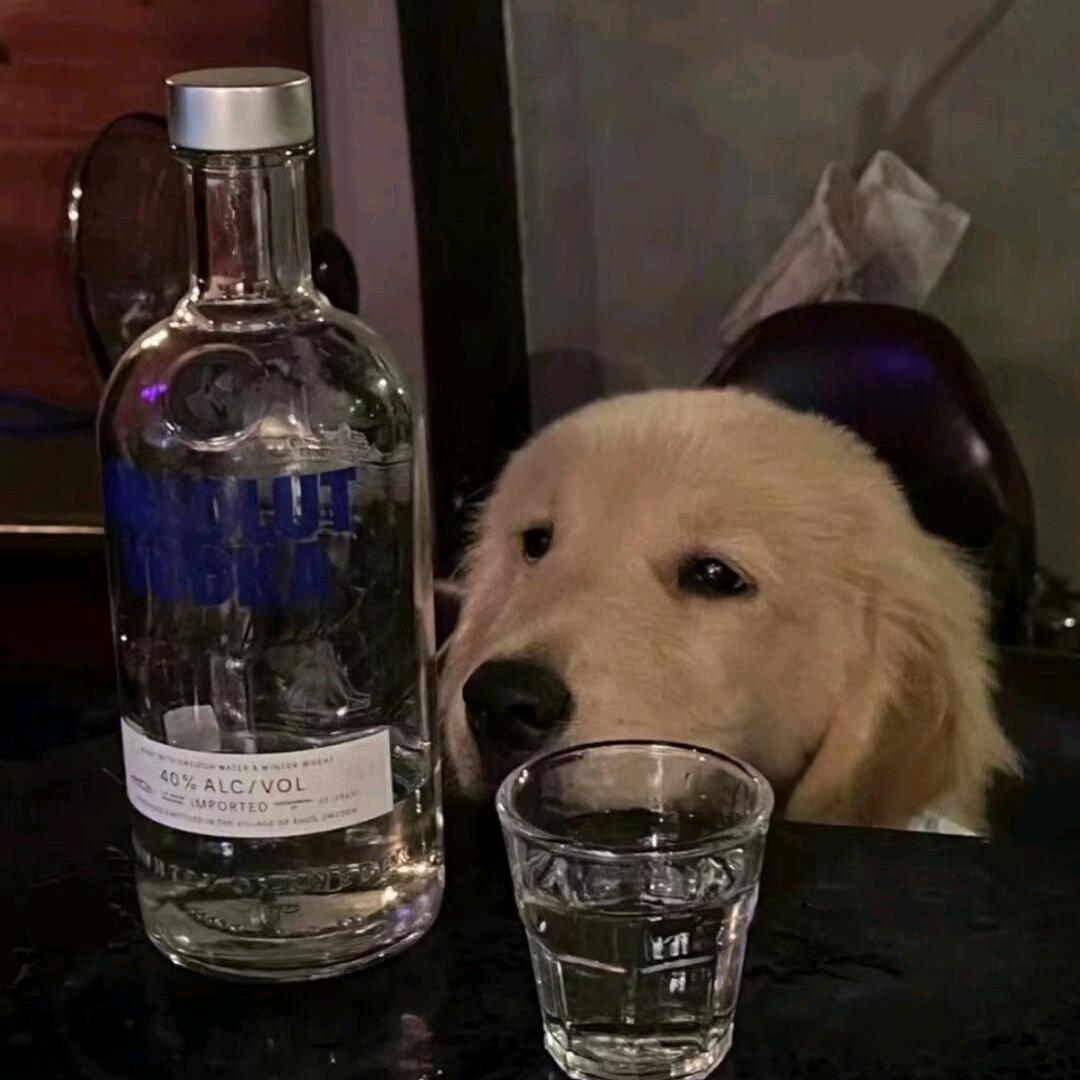 秋枫