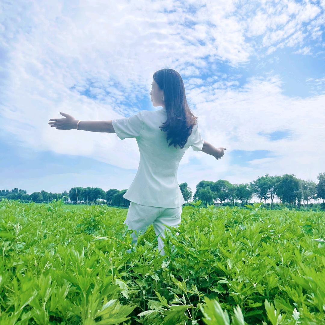 汉卿艾草种植