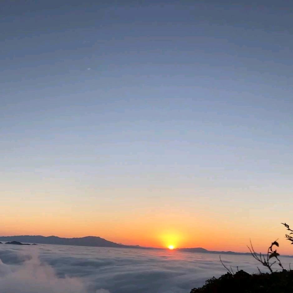 阿杰⬆️