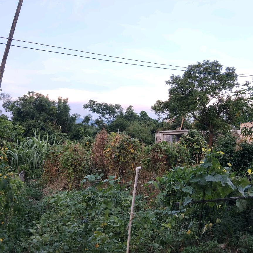 谢石威