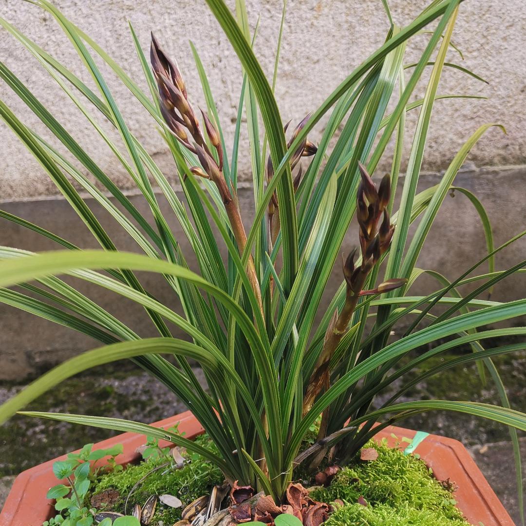 徽乡小居