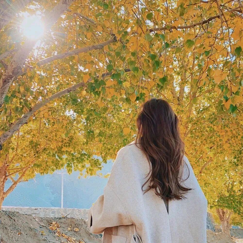 沾花惹草的女人