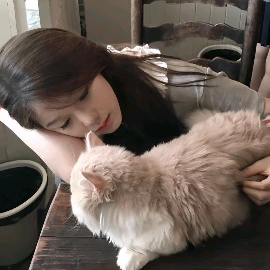 挥挥袖子会结冰