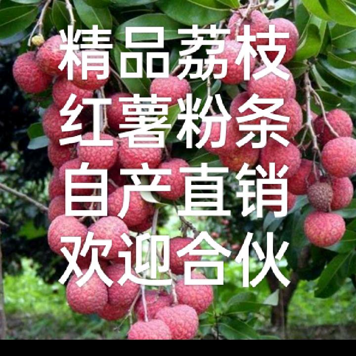 刘家坡果业（荔枝粉条）