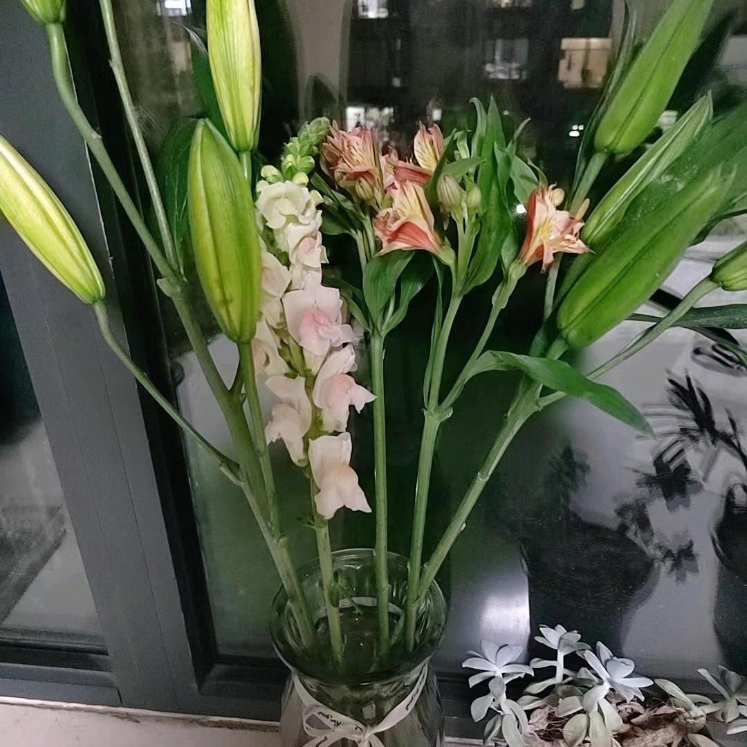 假肢工作者