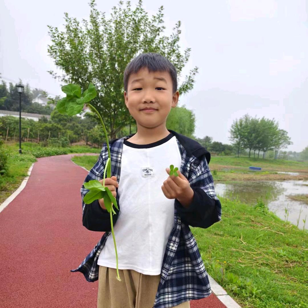 花又开了