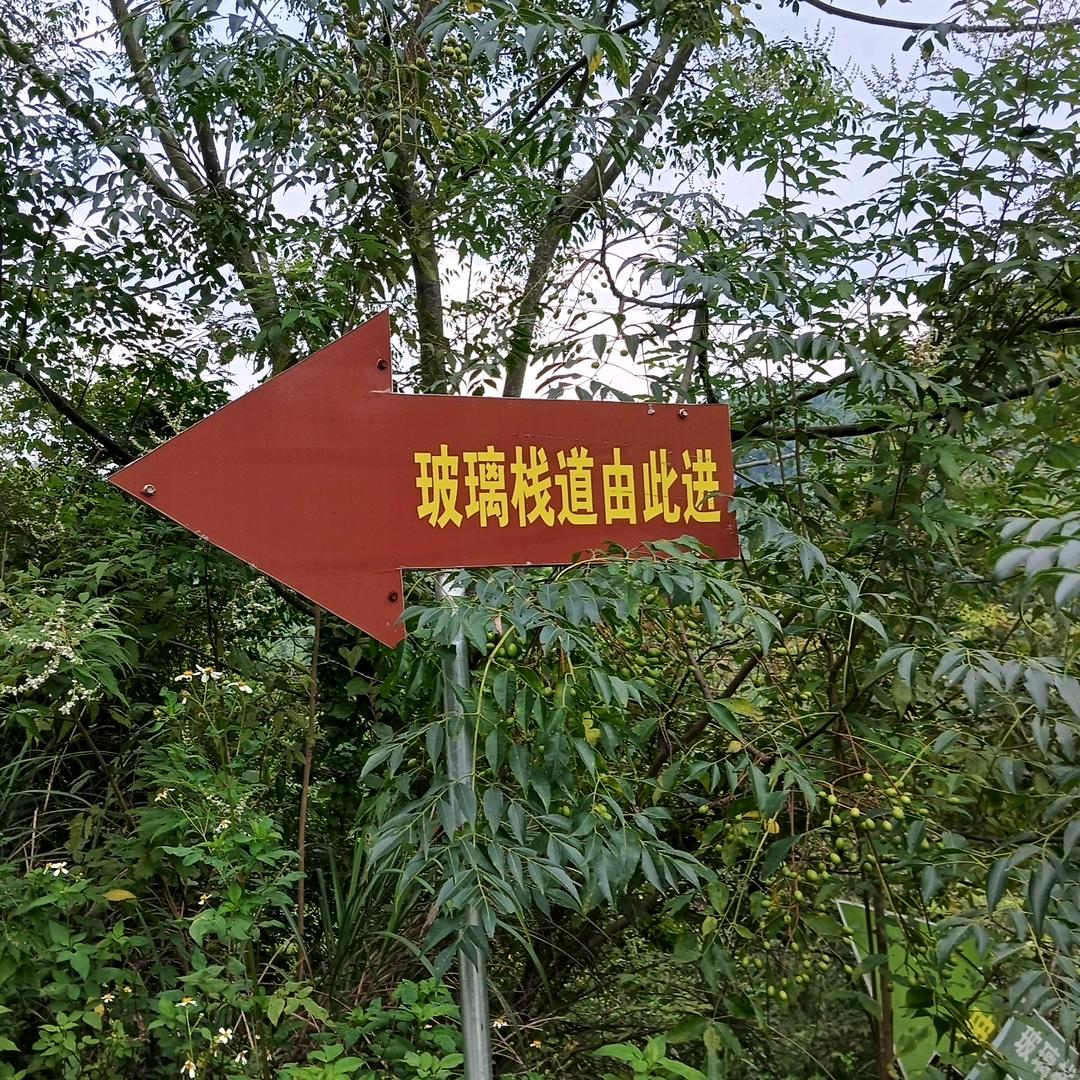 系统'正在为你匹配订单