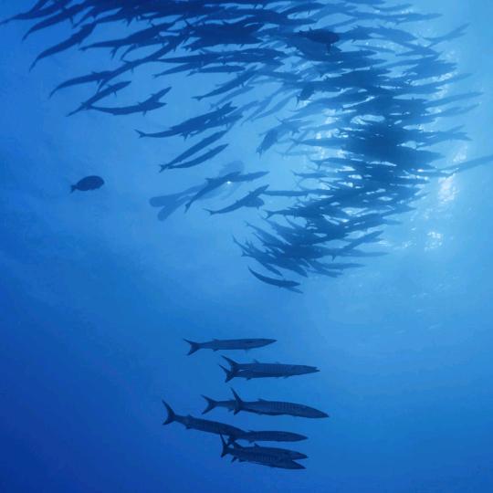 ☀️珍惜当下🌙💦