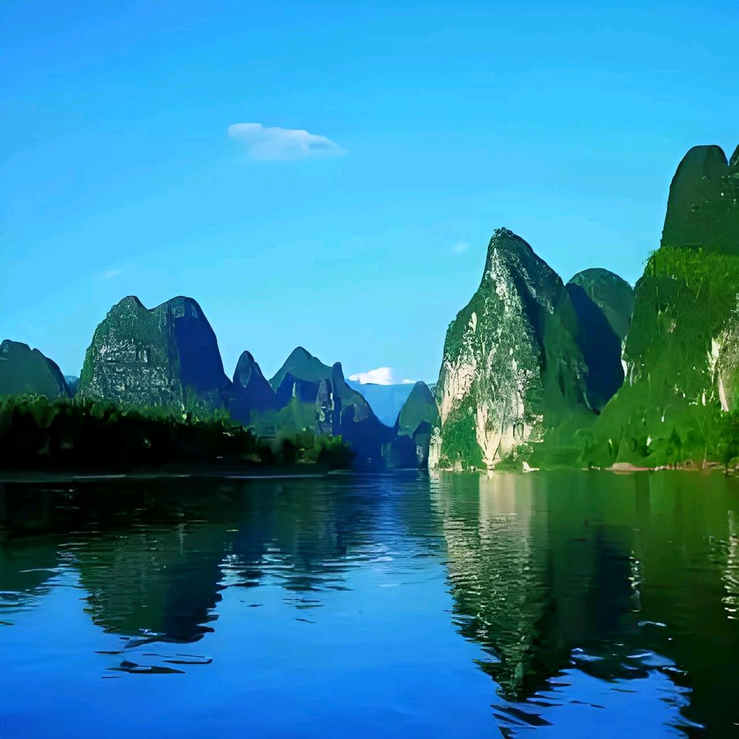 福鹿尊