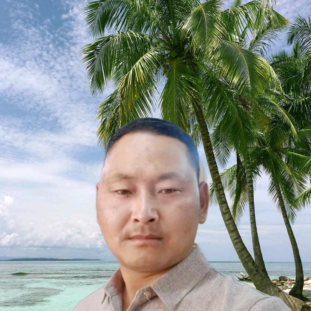 努力拼博
