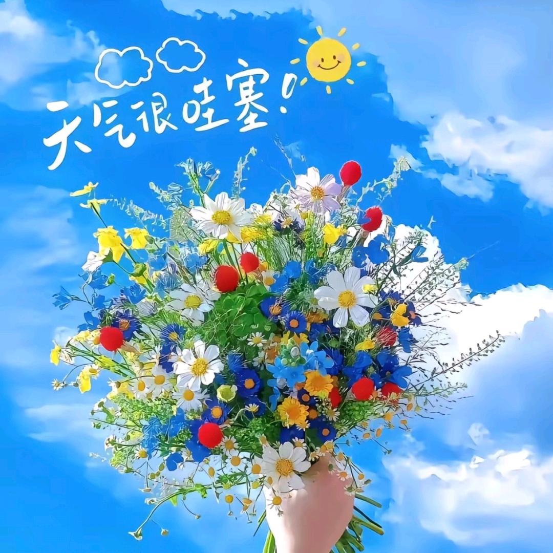🎶四小只