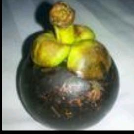 光辉三结义-小冰冰