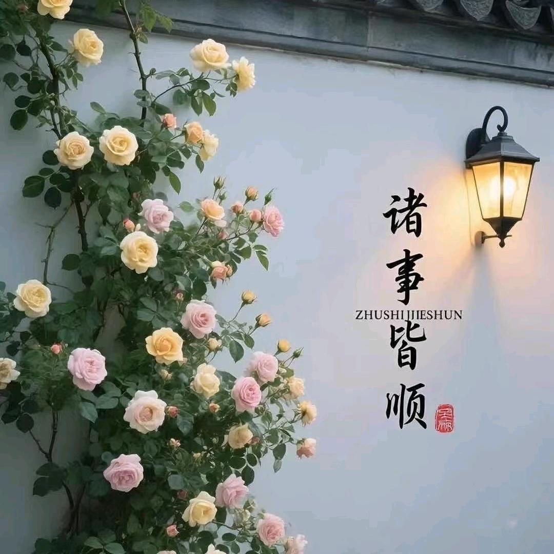 佛系
