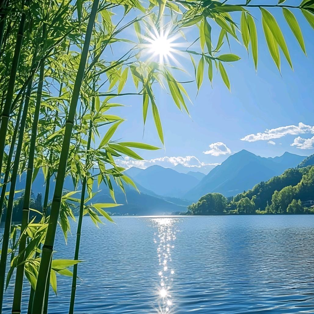 苗果果