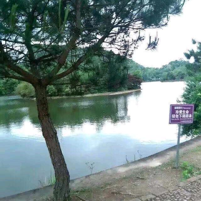 剑花