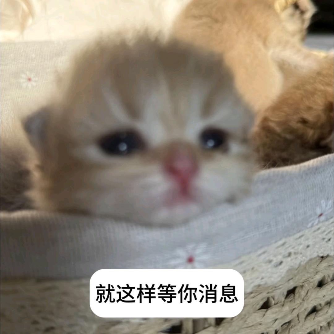 不是没睡 入睡失败